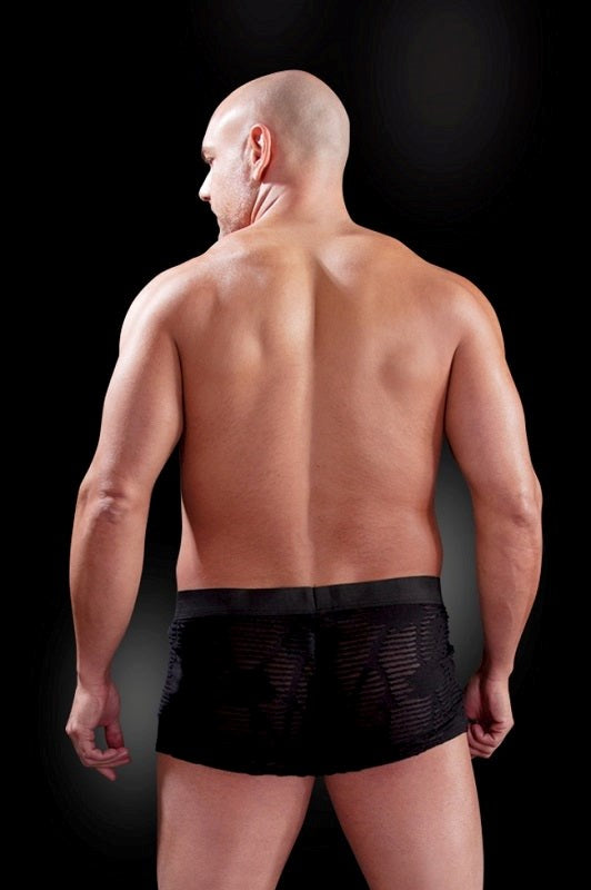 Fetish Fantasy Mens Fetish Play See-Thru Sexy Boxer - Mens Briefs And Boxers