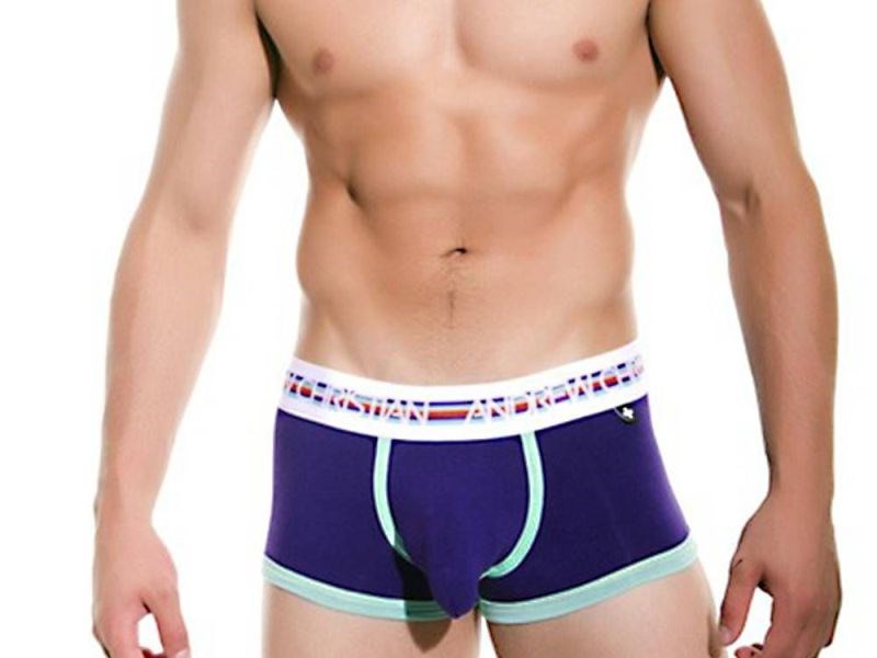 Vivid Fuse Boxer w/ Show-It Purple - Mens Briefs And Boxers