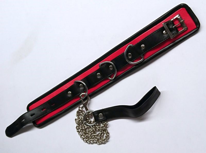 Black and Red Collar with Lead - - Collars And Cuffs