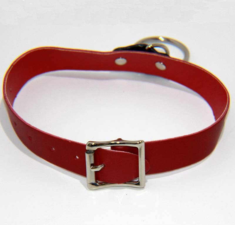 Kitty Red Collar with O Ring Heavy - - Fancy Dress Ups