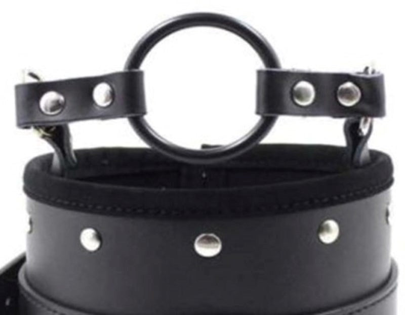 Posture Collar & O Ring Gag Light - - Collars And Cuffs