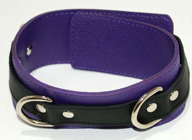 Purple Pleasures BDSM Collar with Studs O-Rings - - Collars And Cuffs