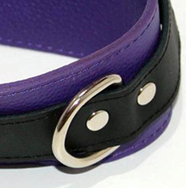 Purple Pleasures BDSM Collar with Studs O-Rings - - Collars And Cuffs