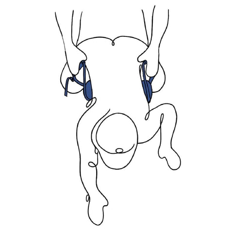 PIVOT Deluxe Doggie Strap - Sex Furniture