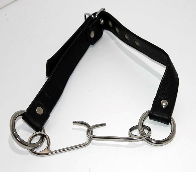 Asylum Hook Mouth Spreader Gag - - Bondage Gags and Bits