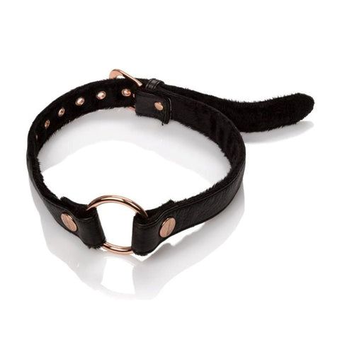 Entice Open Mouth Gag - Bondage Gags and Bits