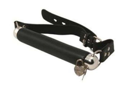 Fetish Fantasy Series BDSM Play Bit Gag - Bondage Gags and Bits