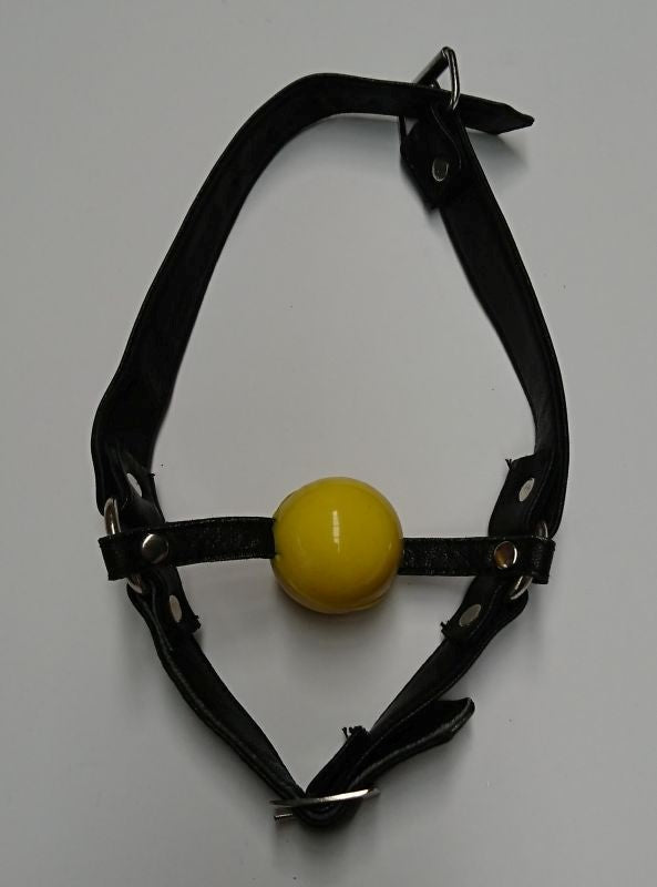 Fetish Toy Box Ball Gag with Face Harness - - Bondage Gags and Bits