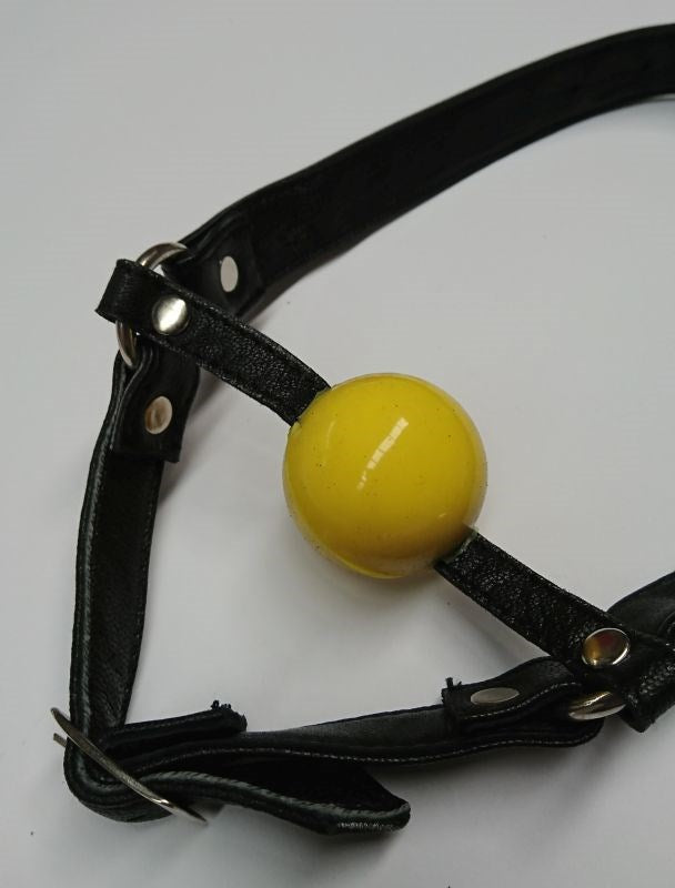 Fetish Toy Box Ball Gag with Face Harness - - Bondage Gags and Bits