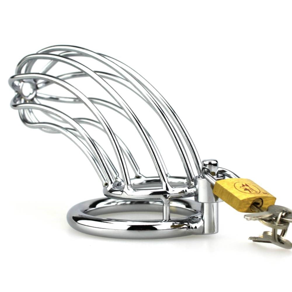 BDStyle Silver Caged Tiger Male Chastity Device - - Male Chastity