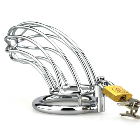 BDStyle Silver Caged Tiger Male Chastity Device - Male Chastity