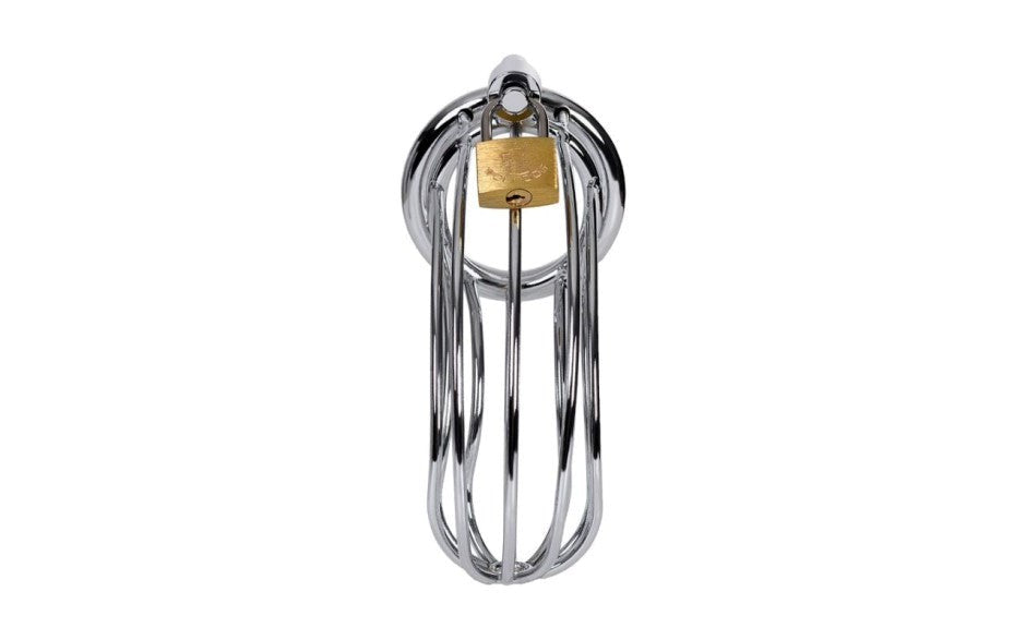 Metal Silver Metal Birdcage Cock Cage - - Male Chastity