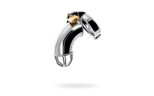 Metal Silver Metal Cock Cage With Rings & Lock - Male Chastity