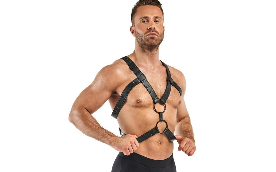 Bedroom Fantasies Rocco BDSM Play Harness Black - - Cuffs And Restraints