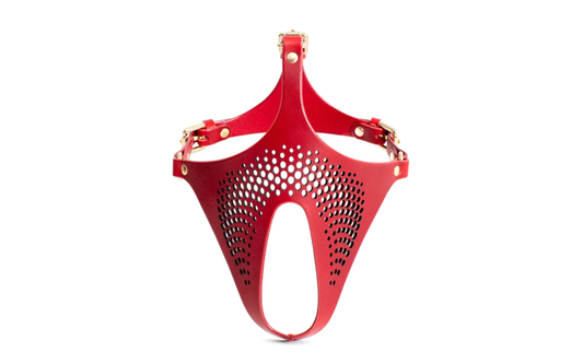 Daytona Ex Machina Genuine BDSM Play Leather Mask - Masks And Blindfolds