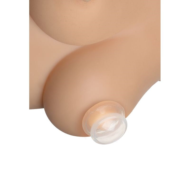 Master Series Clear Plungers Fetish Nipple Suckers - - Nipple and Clit Clamps