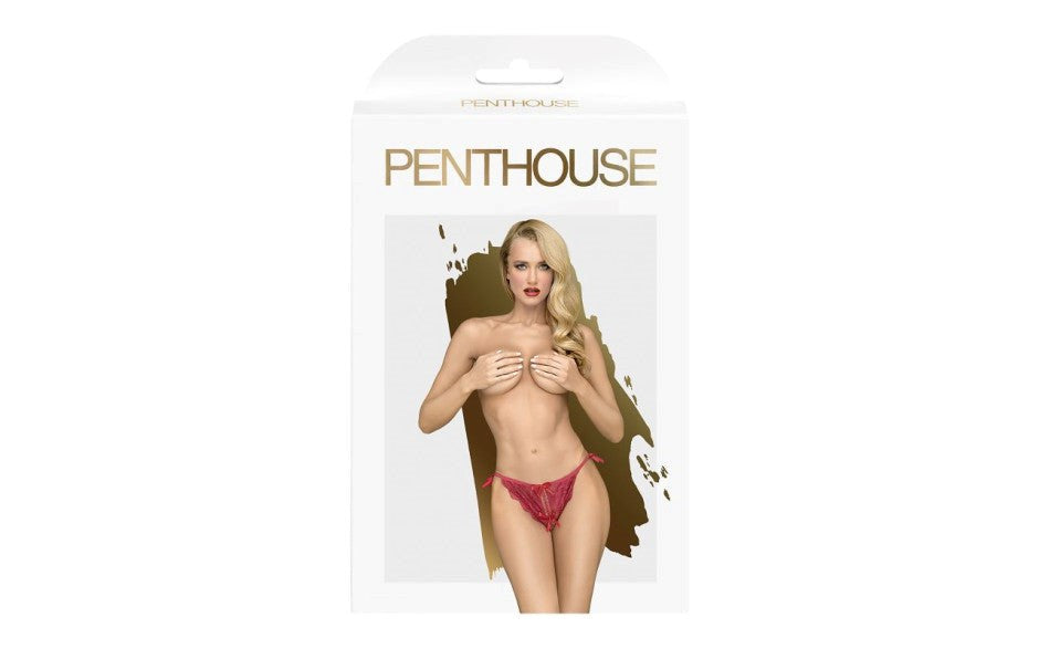 Penthouse Lingerie Too Hot To Be Real Womens Panties Wine - - G-Strings, Panties and Shorts