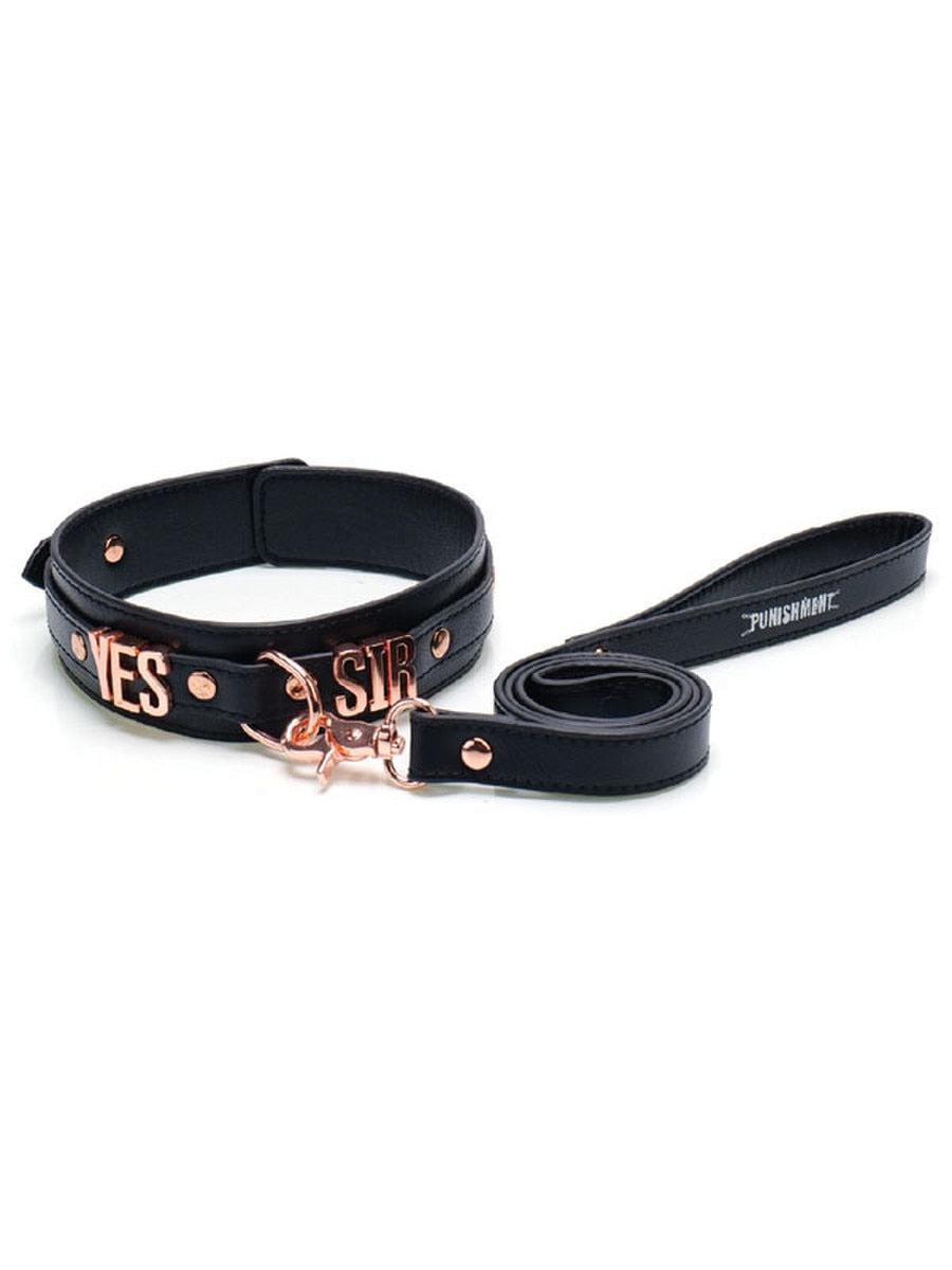 BMS Factory Punishment Rose Gold Yes Sir Collar and Leash - - Collars and Leads