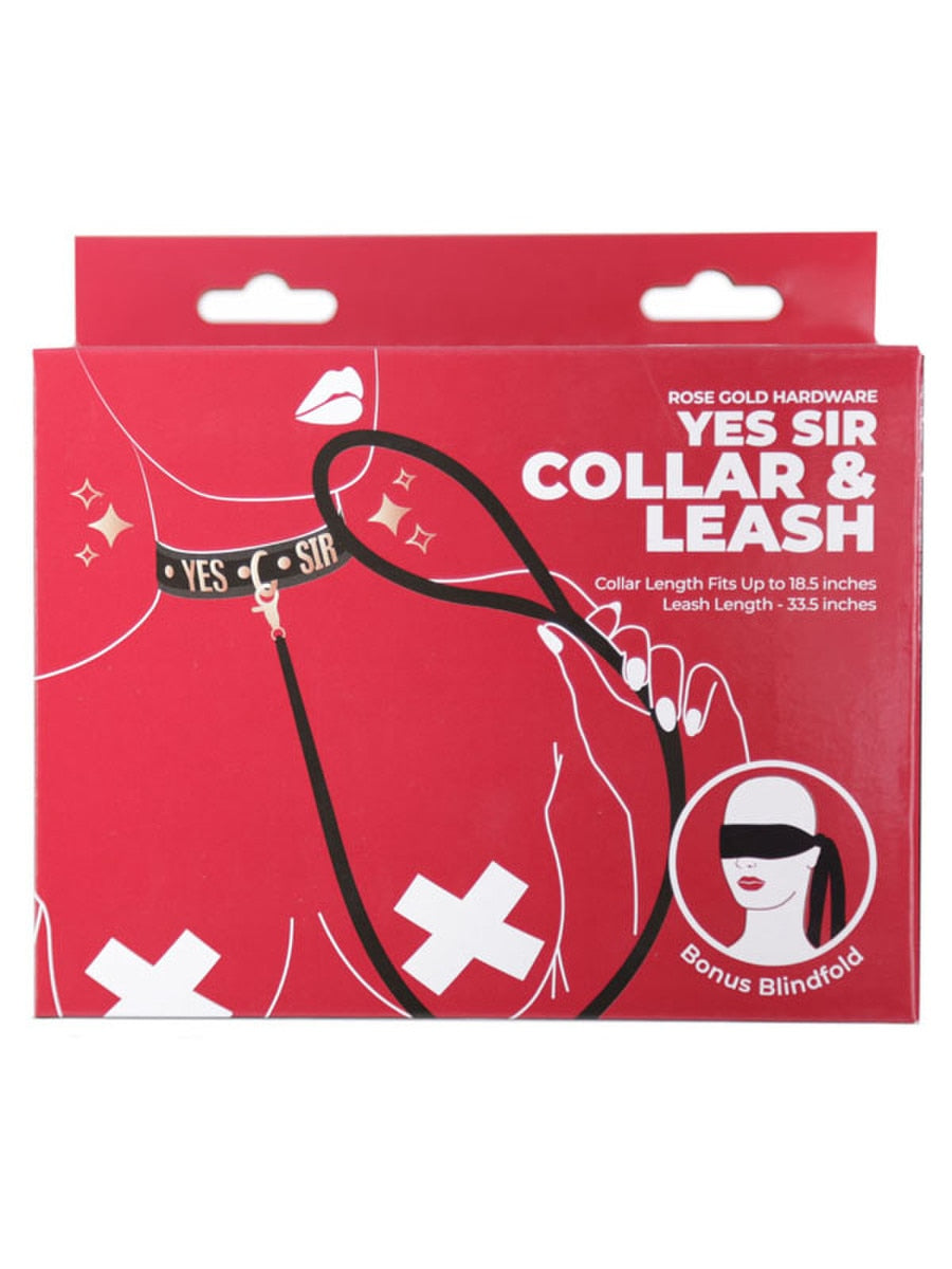 BMS Factory Punishment Rose Gold Yes Sir Collar and Leash - - Collars and Leads