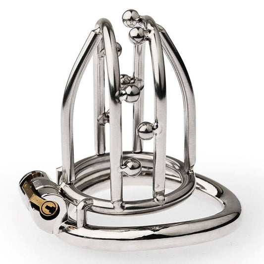 BDStyle Chastity Opening Cage With Chastity Lock Bent Ring - Male Chastity