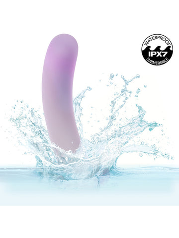 CalExotics Lavender Haze Slender Curved Anal Probe