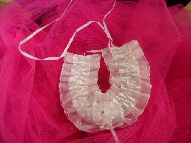 Me Collections Horse Shoe In Satin And Organza - - Party Gifts and Novelties