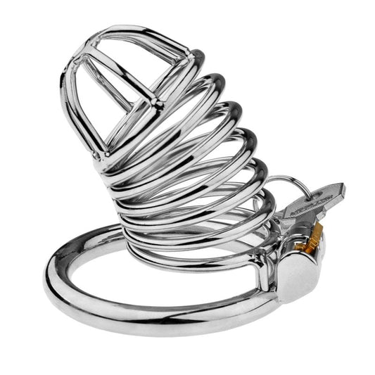 BDStyle Male Chastity Bird Cock Cage With Hide Lock - Male Chastity