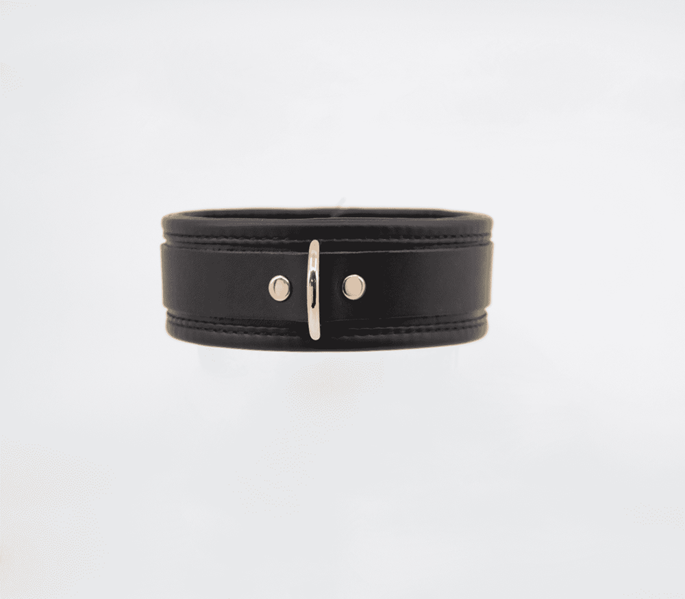 Love In Leather Fetish Collar with Coloured Hardware - - Collars and Leads
