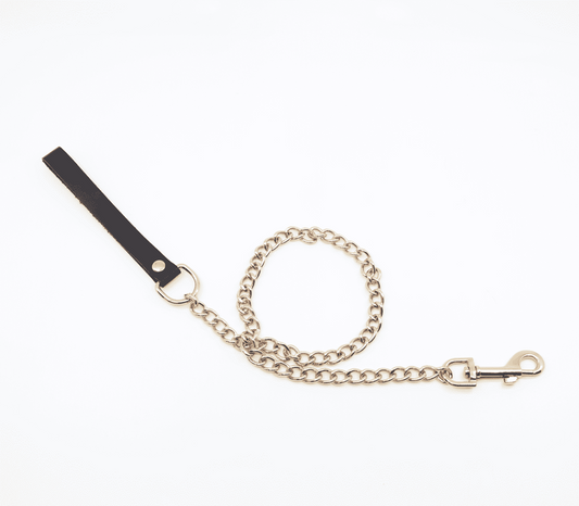 Love In Leather BDSM Chain Lead With Coloured Hardware - Collars and Leads