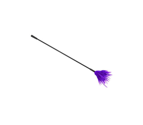 Love In Leather BDSM Crop With Feather Tickler - Whips And Crops