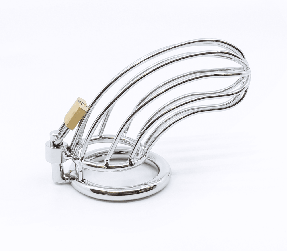 Love In Leather Bird Cage Style Male Chastity Device - 50mm - Male Chastity