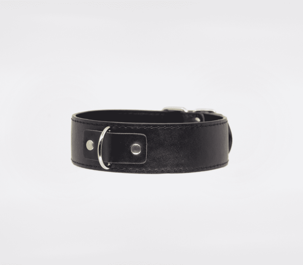Berlin Baby BDSM Play Unlined PU Collar and Lead - - Collars and Leads