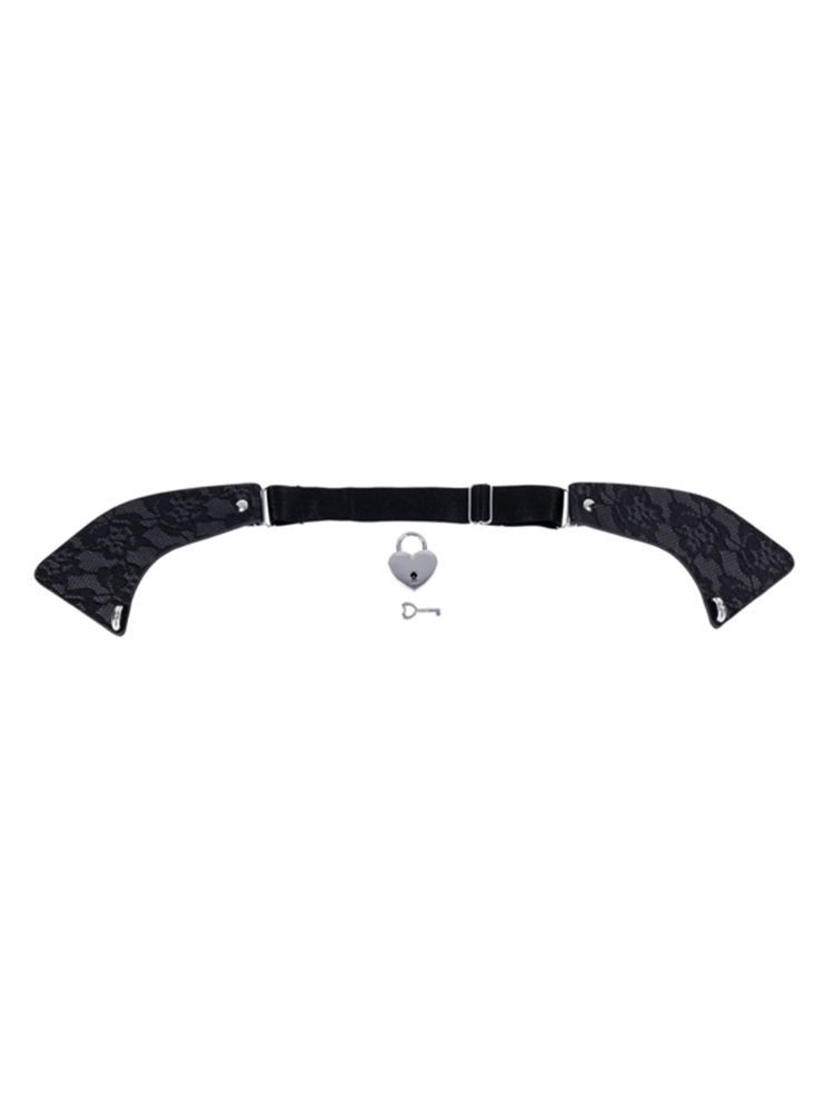 Sportsheets Sex and Mischief Heartbound Lace Day Collar - Collars and Leads
