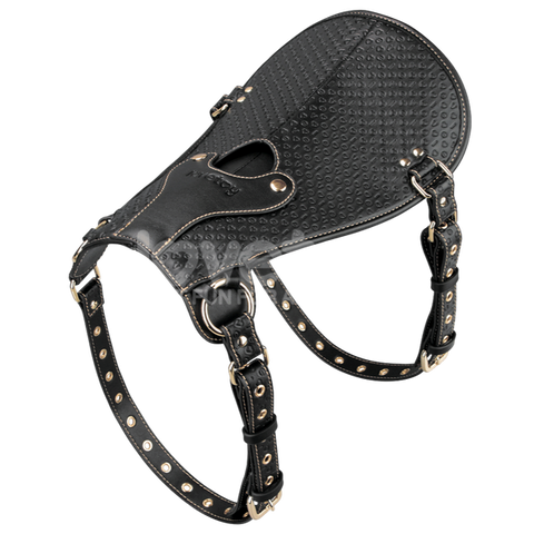 Lovetoy Rebellion Reign Adjustable Dildo Saddle