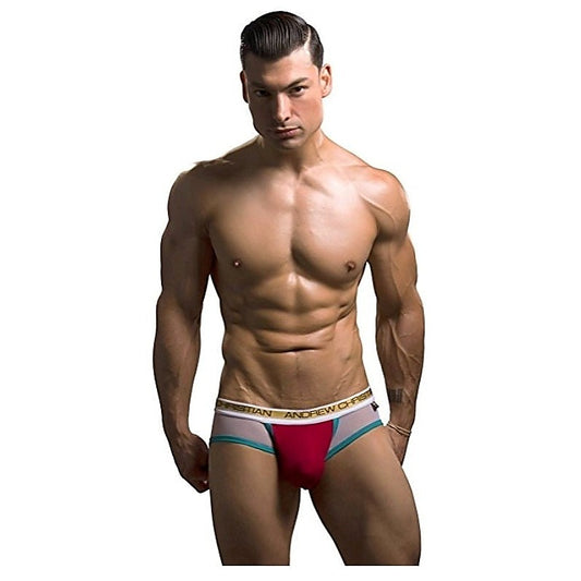 Almost Naked Peek-a-boo Holiday Brief Red - Jocks and G-Strings