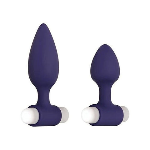 Evolved Dynamic Duo - Anal Vibrators