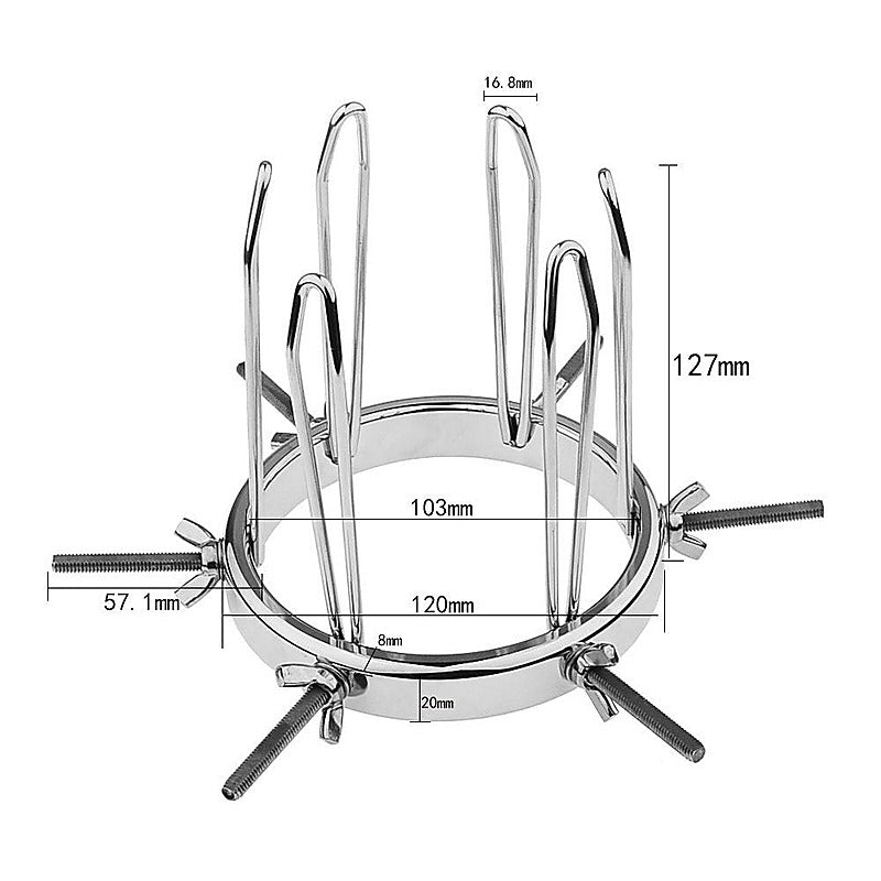 Gynaecology Anal Vaginal Giant Adjustable Speculum - Dental and Clinical