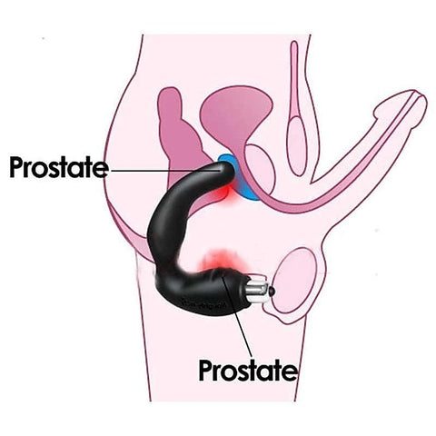 Dream Blue Vibrating Prostate Massager By Bdstyle - Prostate Toys
