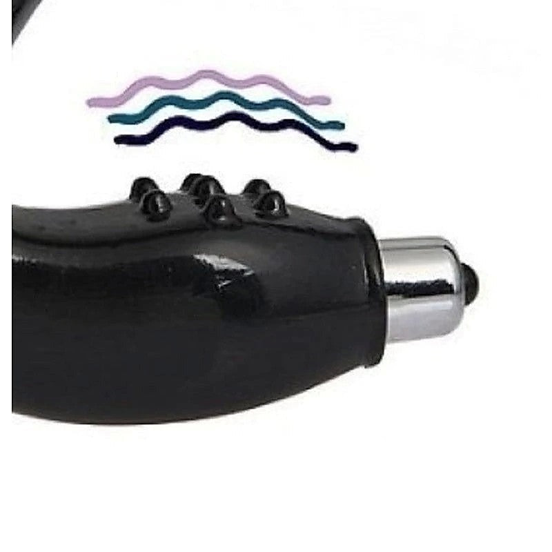Dream Blue Vibrating Prostate Massager By Bdstyle - Prostate Toys