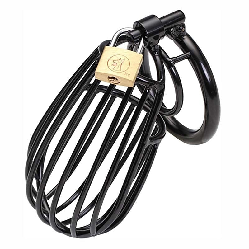 Temperance Male Chastity Device By Bdstyle - Male Chastity