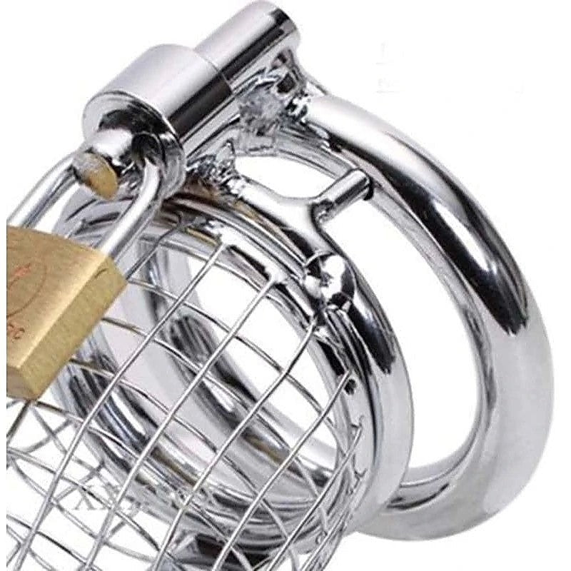 Caged Dragon Male Chastity Device Silver - Male Chastity