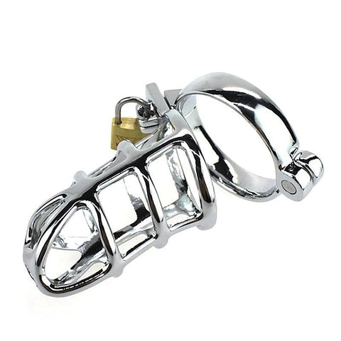 Steel Cock Cage by BDStyle - Ball and Cock Toys