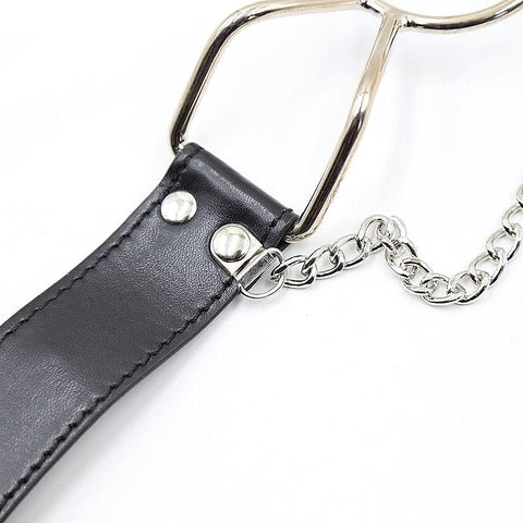 Spider Mouth Gags With Nipple Clamps - Breast and Nipple Toys