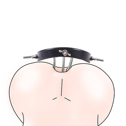 Professional-Grade Anal Spreader By Bdstyle - Steel Sex Toys