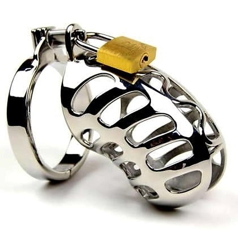 The Snake Metal Cock Cage by BDStyle - Male Chastity