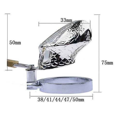 Bird Lock Chastity Cage by BDStyle - Male Chastity