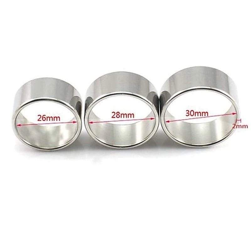 Stainless Steel Cock Ring by BDStyle - Cock Rings