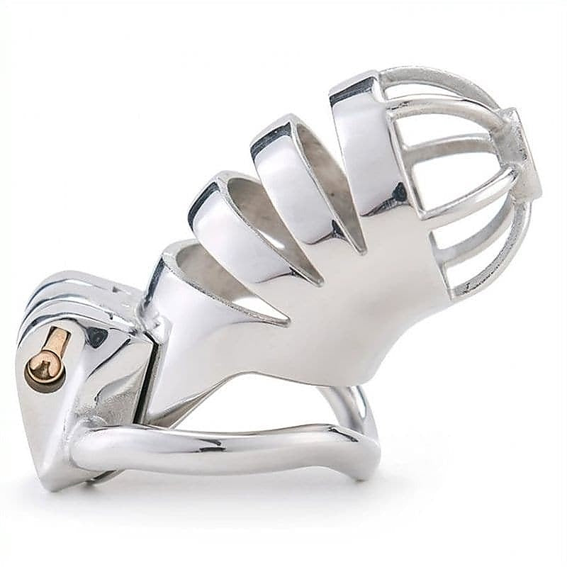 Bird Cage Chastity Device by BDStyle - Male Chastity