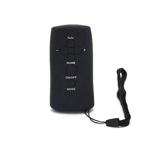 Wireless Electric Shock Sex Kit By Bdstyle - Electro Sex