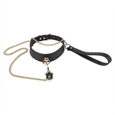 Golden Lead BDSM Collar - Collars and Leads